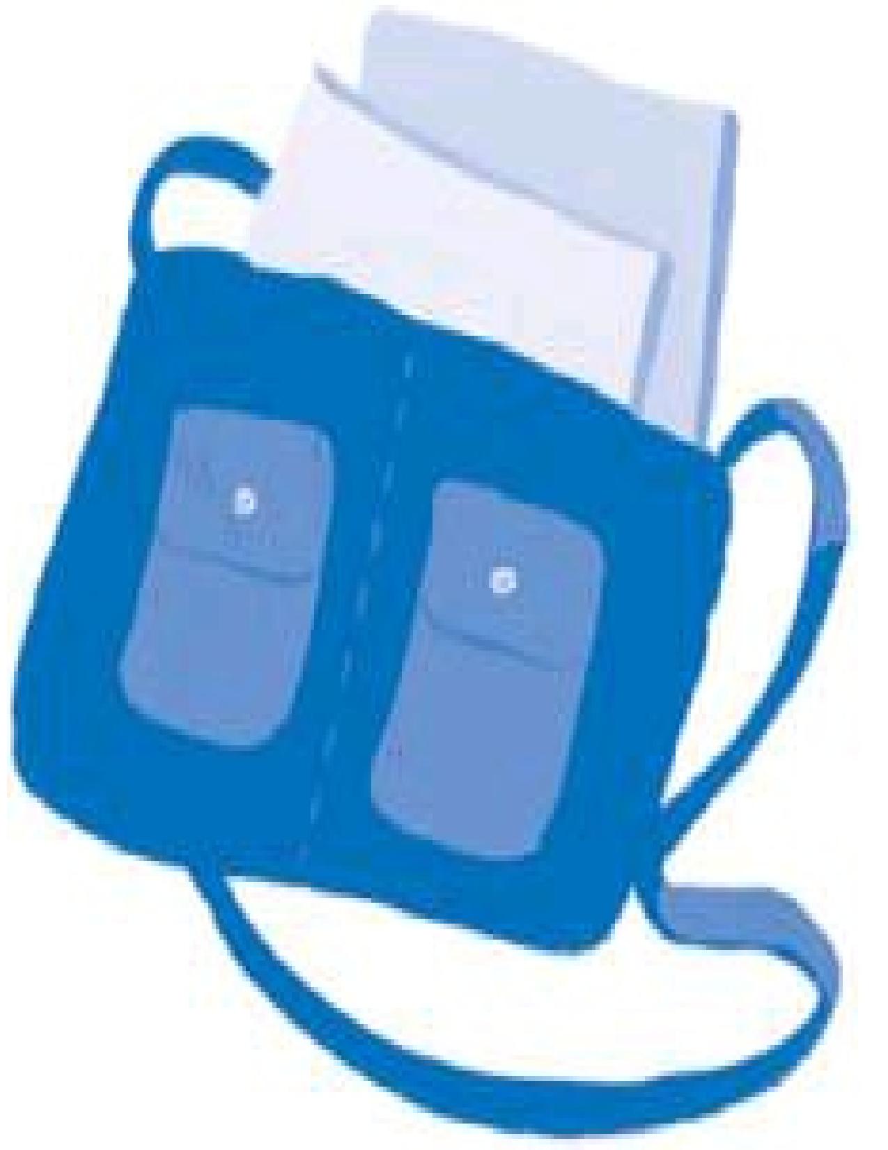 The One-Minute Organizer Plain & Simple by Donna Smallin
