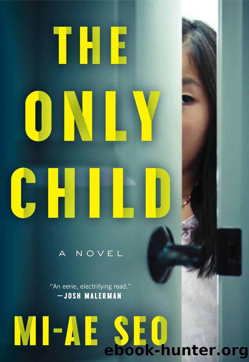 The Only Child: a Novel by Mi-ae Seo