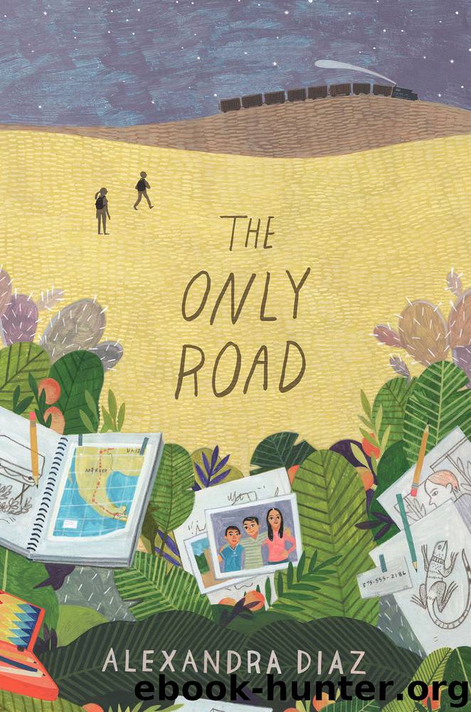 The Only Road by Alexandra Diaz