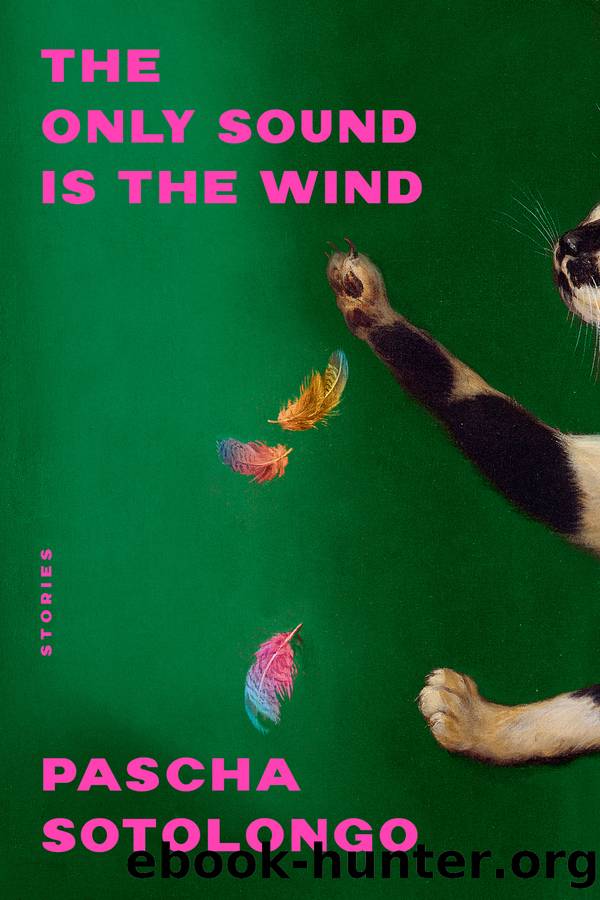 The Only Sound Is the Wind by Pascha Sotolongo