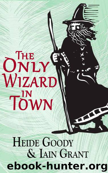 The Only Wizard in Town by Heide Goody & Iain Grant
