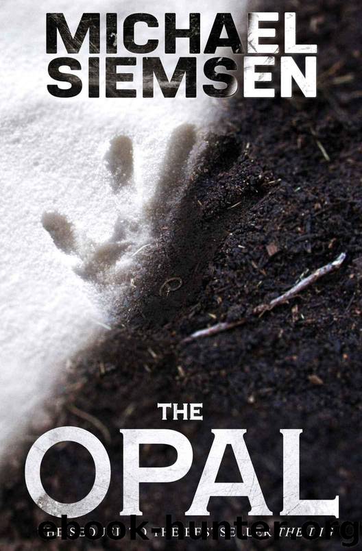 The Opal (Book 2 of the Matt Turner Series) by Siemsen Michael