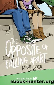 The Opposite of Falling Apart by Micah Good