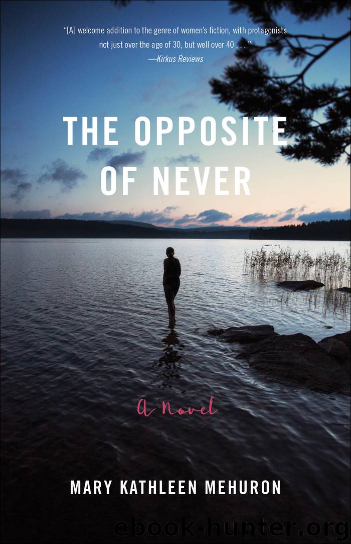 The Opposite of Never by Mary Kathleen Mehuron