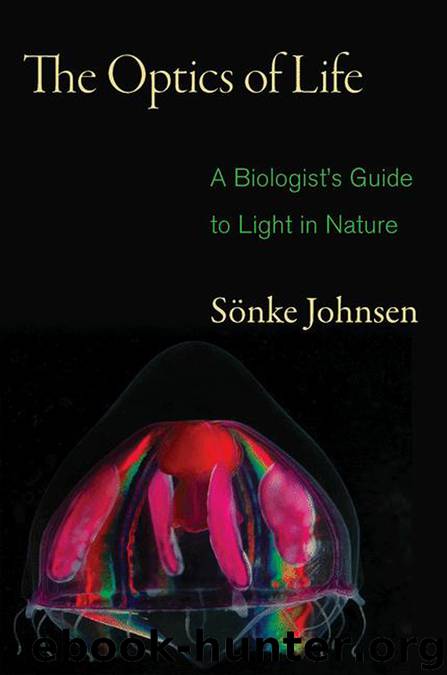 The Optics of Life by Johnsen Sonke