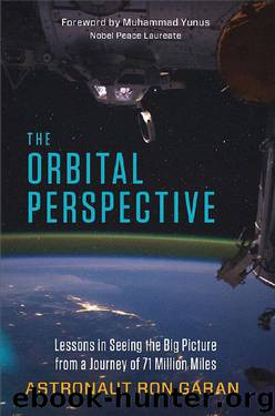 The Orbital Perspective: Lessons in Seeing the Big Picture From a Journey of 71 Million Miles by Ron Garan