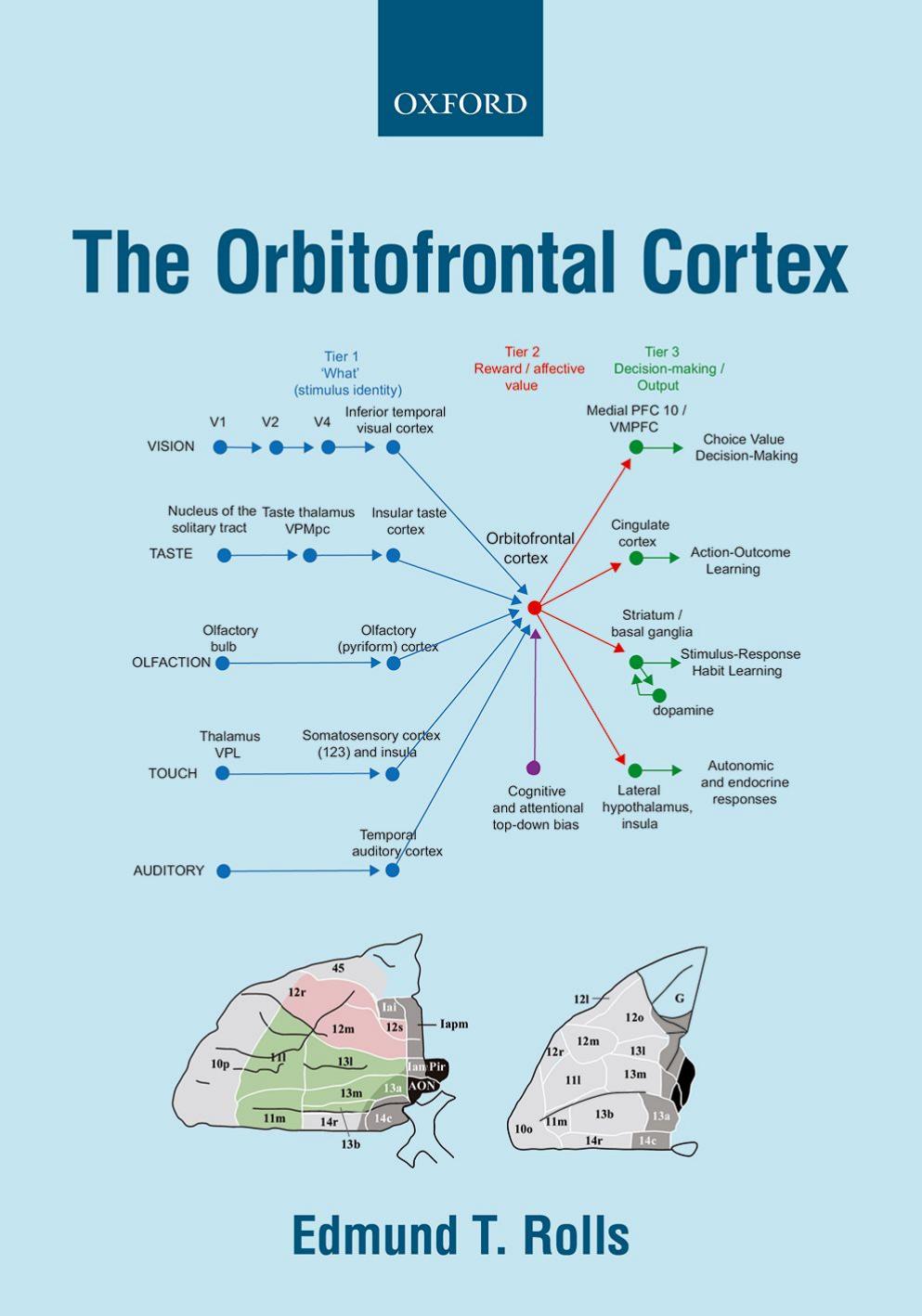 The Orbitofrontal Cortex by Edmund Rolls