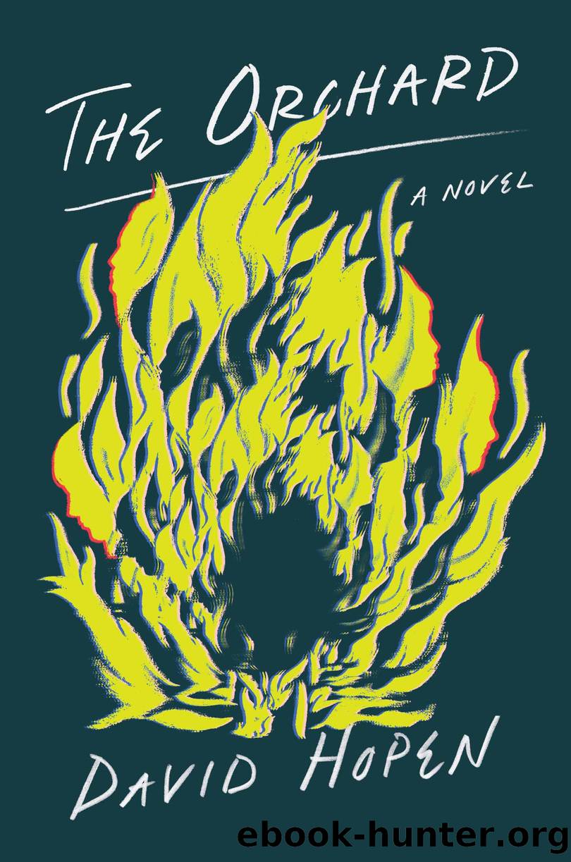 The Orchard by David Hopen