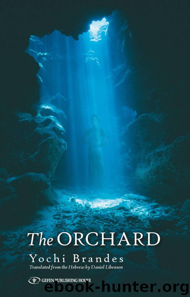 The Orchard by Yochi Brandes