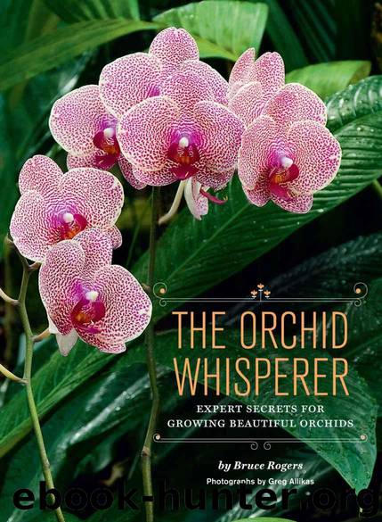 The Orchid Whisperer: Expert Secrets for Growing Beautiful Orchids by Bruce Rogers
