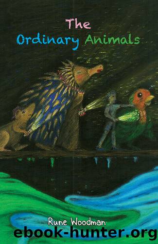 The Ordinary Animals by Rune Woodman