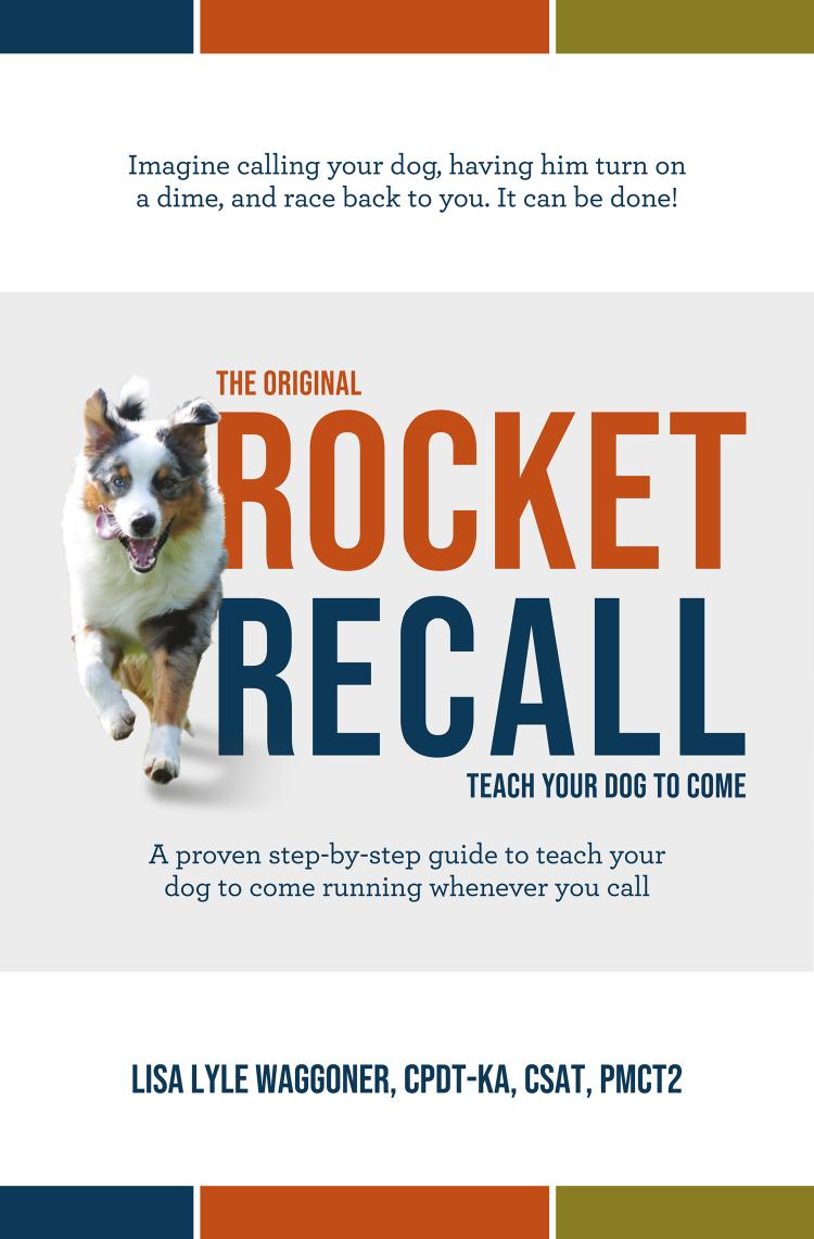 The Original Rocket Recall by Lisa Lyle Waggoner;