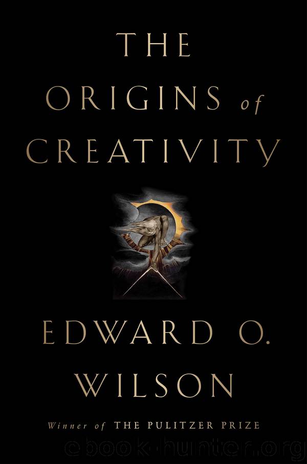 The Origins of Creativity by Edward O. Wilson