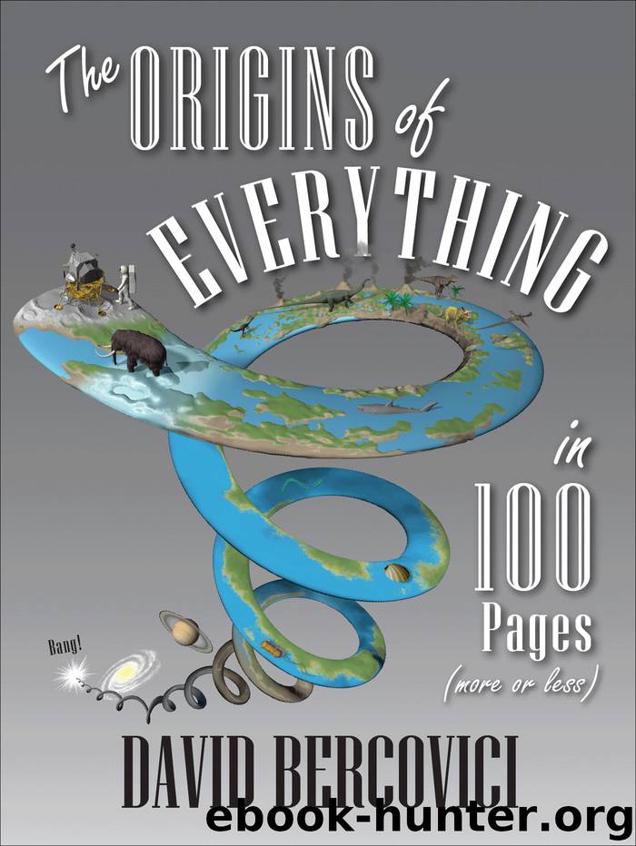 The Origins of Everything in 100 Pages (More or Less) by David Bercovici