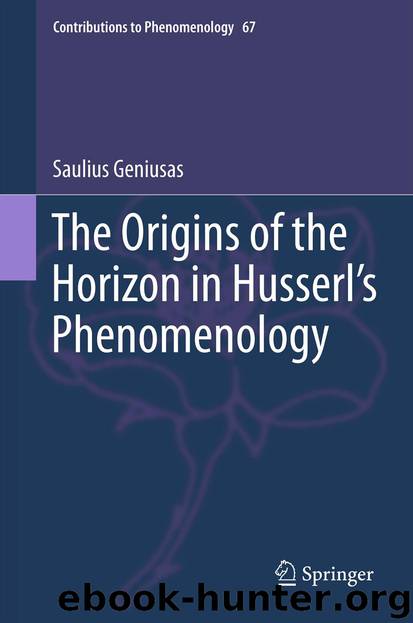The Origins of the Horizon in Husserl’s Phenomenology by Saulius Geniusas