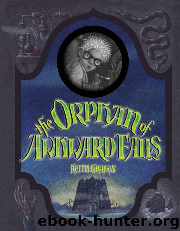 The Orphan of Awkward Falls by Keith Graves