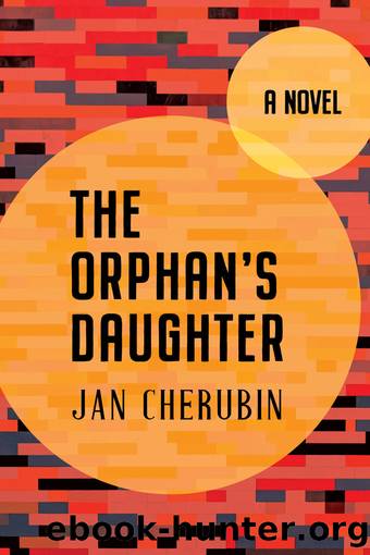 The Orphan's Daughter by Jan Cherubin