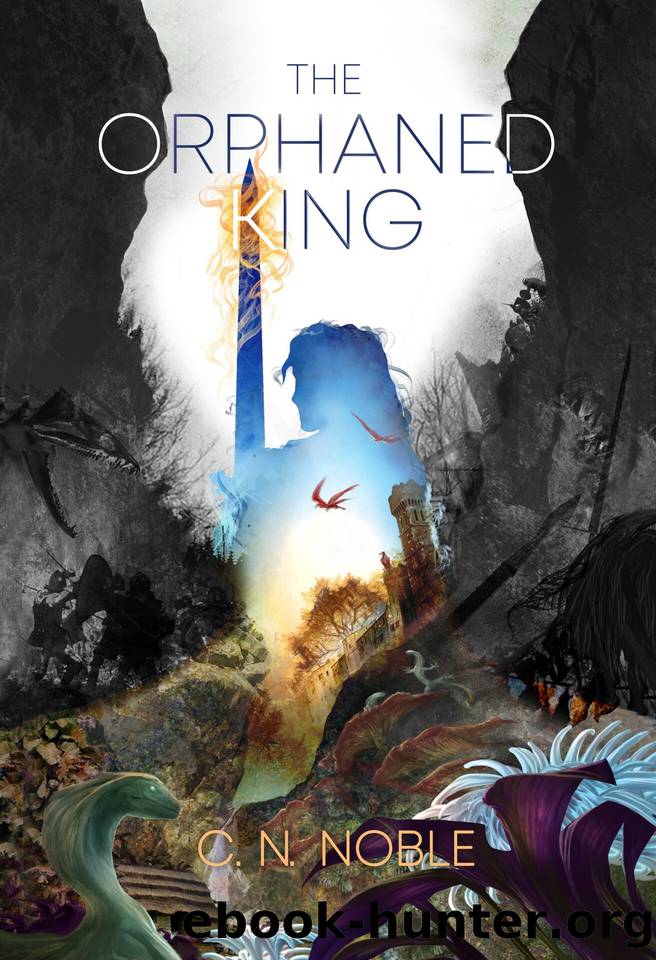 The Orphaned King by C. N. Noble