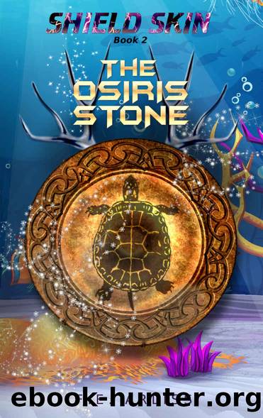 The Osiris Stone: Shield Skin Book 2 by F.E. Arliss
