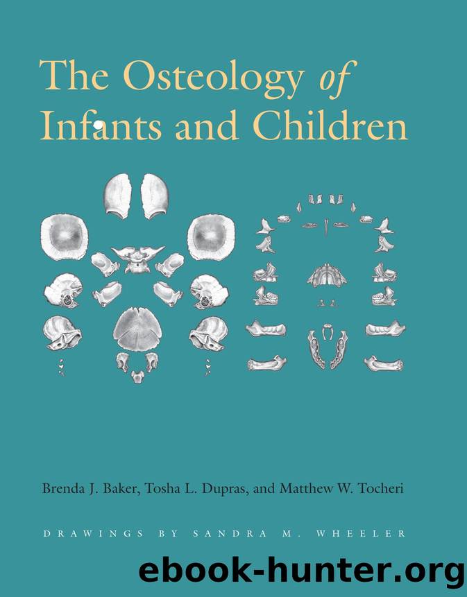 The Osteology of Infants and Children by Brenda J. Baker; Tosha L. Dupras; Matthew W. Tocheri; Sandra M. Wheeler
