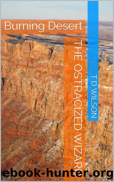 The Ostracized Wizard: Burning Desert by T D Wilson