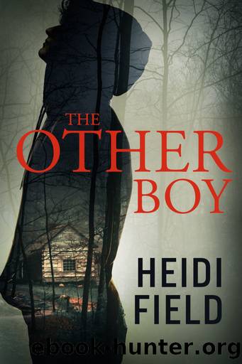 The Other Boy by Heidi Field