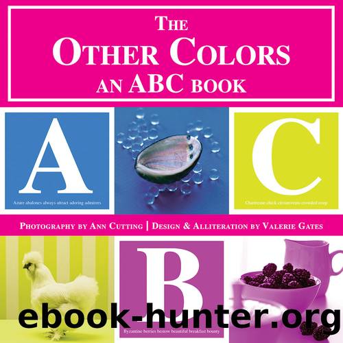 The Other Colors by Valerie Gates