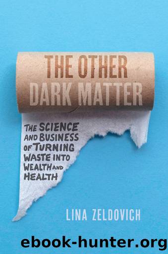 The Other Dark Matter by Lina Zeldovich