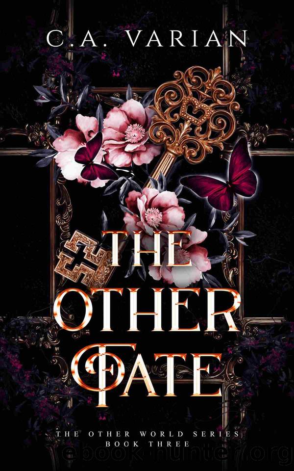 The Other Fate (The Other World Book 3) by C. A. Varian