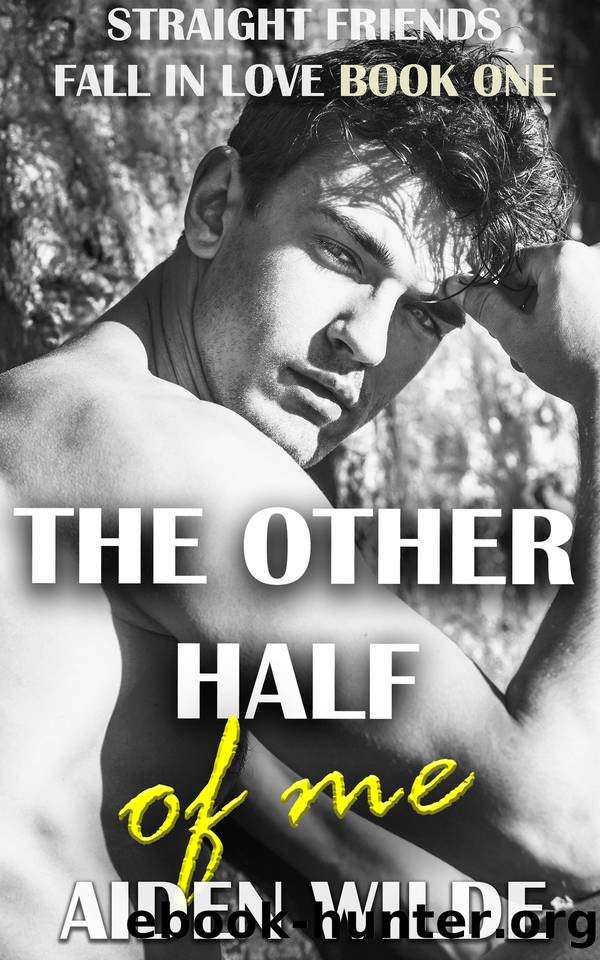 The Other Half Of Me: Straight To Gay MM Bi Awakening Romance by Aiden Wilde