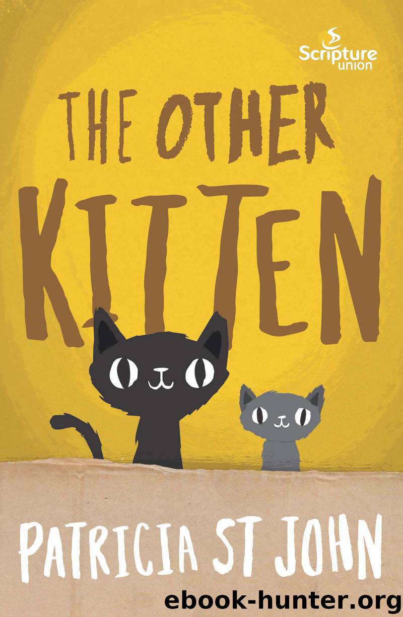 The Other Kitten by Patricia St John