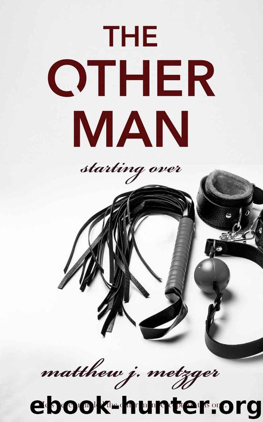 The Other Man (Starting Over Book 2) by Metzger Matthew J