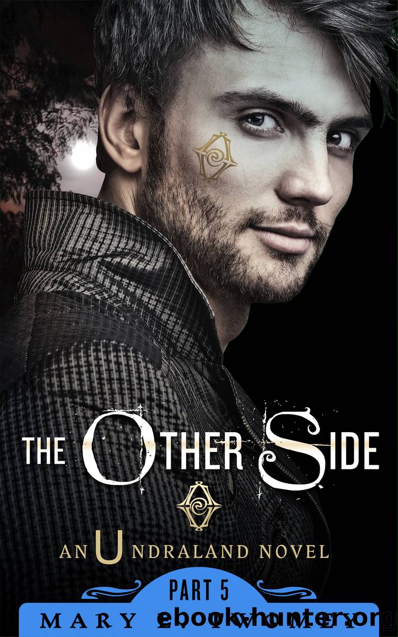 The Other Side by Mary E. Twomey