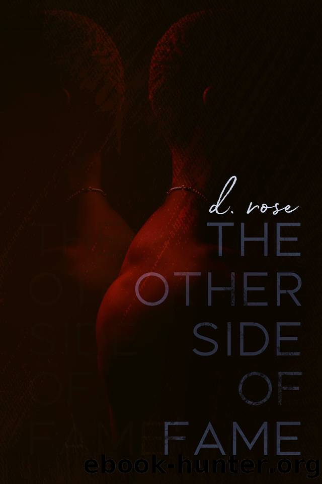 The Other Side of Fame: A Fake Dating Romance by Rose D
