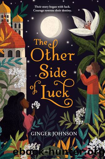 The Other Side of Luck by Ginger Johnson