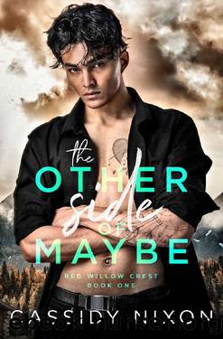 The Other Side of Maybe: A forbidden-lovers, small-town romance (Red Willow Crest Book 1) by Cassidy Nixon