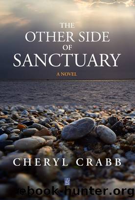 The Other Side of Sanctuary by Cheryl Crabb