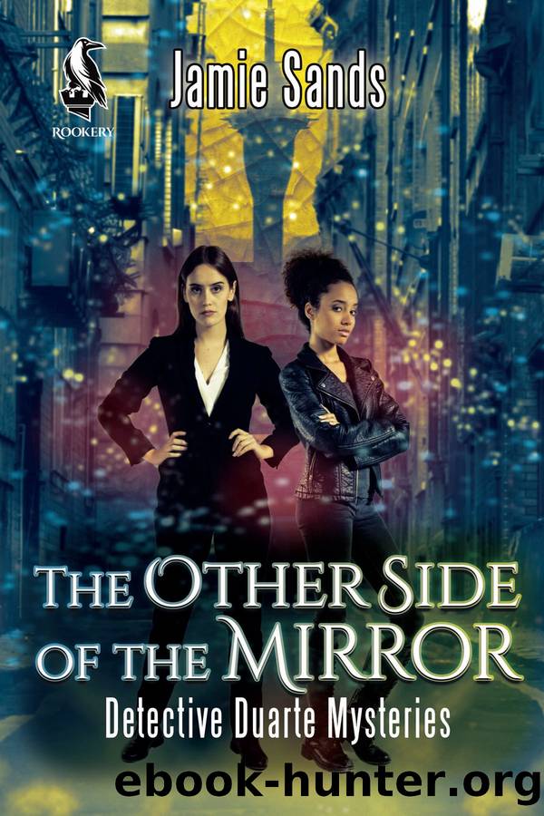 The Other Side of the Mirror by Jamie Sands