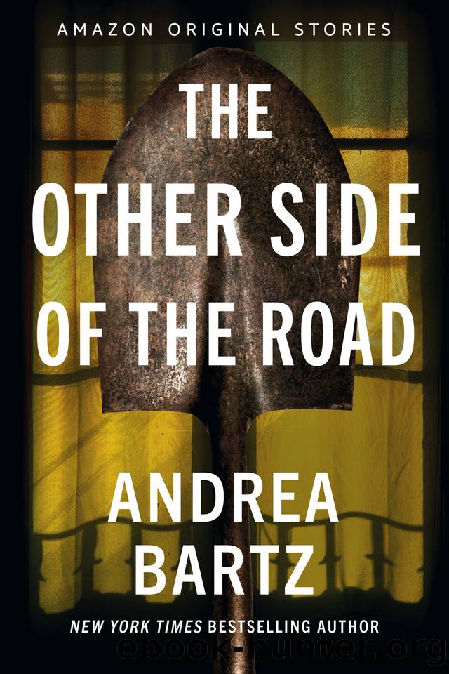 The Other Side of the Road (Never Tell collection) by Andrea Bartz