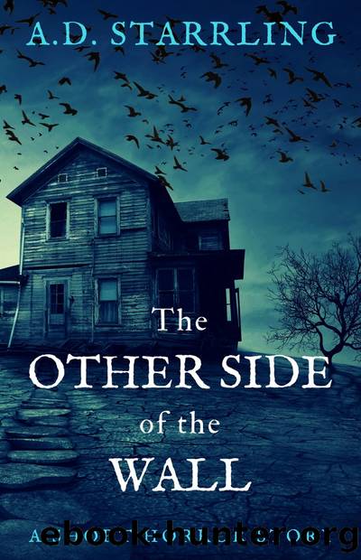 The Other Side of the Wall (A Short Horror Story) by AD Starrling
