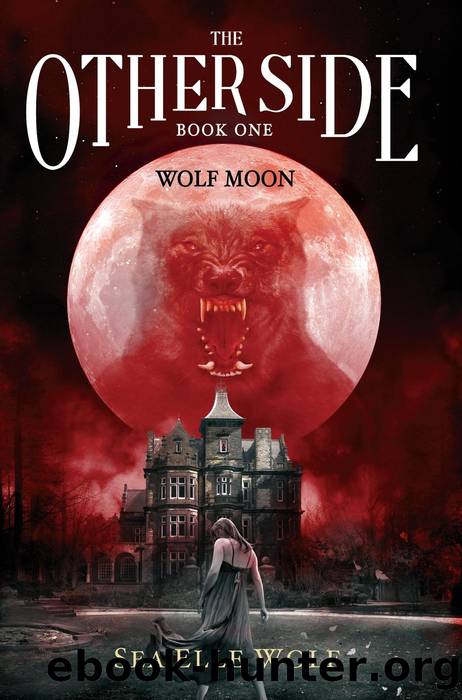 The Other Side--Wolf Moon by Sea Elle Wolf