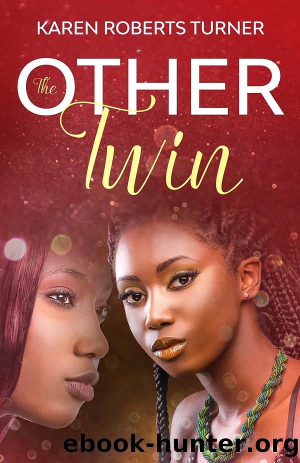 The Other Twin by Karen Roberts Turner