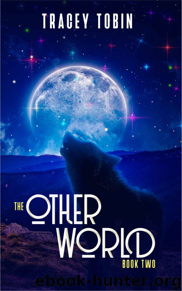 The Other World 2 by Tracey Tobin