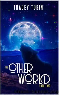 The Other World: Book Two by Tracey Tobin