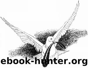 The Outbreak of Peace by Horace Brown Fyfe