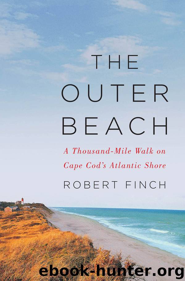 The Outer Beach by Robert Finch