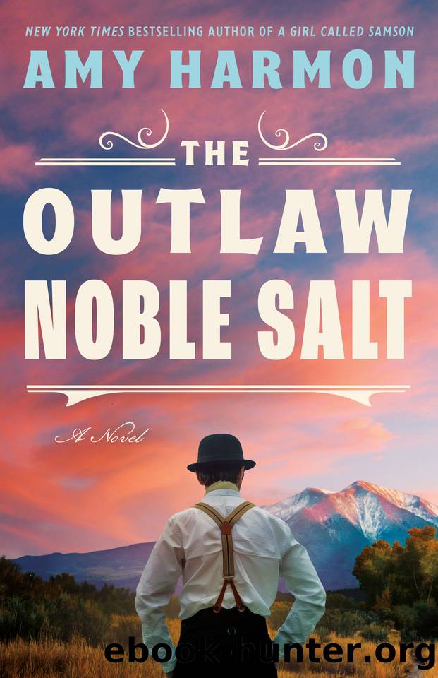 The Outlaw Noble Salt: A Novel by Amy Harmon