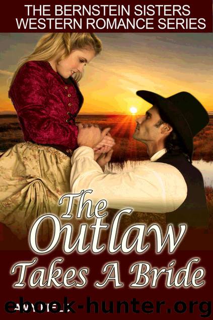 The Outlaw Takes A Bride by Amy Field