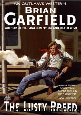 The Outlaws 5 by Brian Garfield