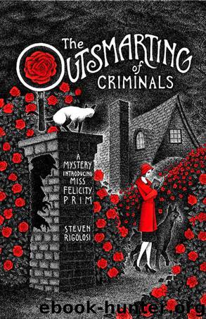 The Outsmarting of Criminals: A Mystery Introducing Miss Felicity Prim by Rigolosi Steven
